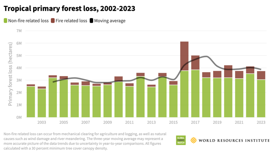 Grafik über den Tropischen Primärwaldverlust von 2002 bis 2023