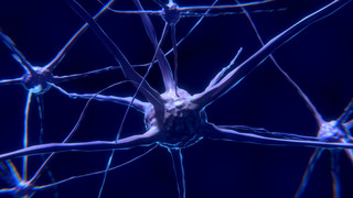 Darstellung einer menschlichen Nervenzelle