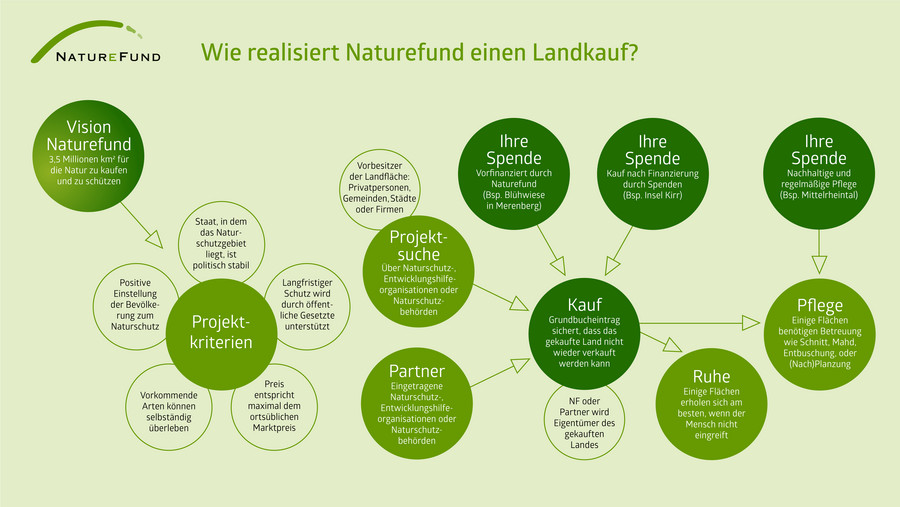 Infografik wie Naturefund einen Landkauf realisiert