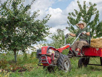 Eine Frau auf einem Traktor fährt durch Agroforststreifen
