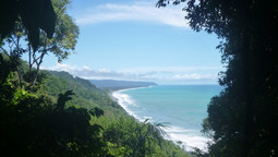 Ausblick auf Regenwald der an Meer grenzt