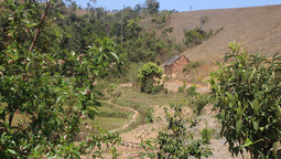 Kleinbäuerliche Anbaufläche neben Resten noch intakten Regenwaldes in Ankafobe auf Madagaskar
