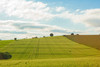 Landwirtschaftliche Ackerflächen unter blauem Himmel