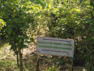 Schild steht vor einer Dynamischen Agroforstparzelle der Naturschutzorganisation Naturefund auf Madagaskar