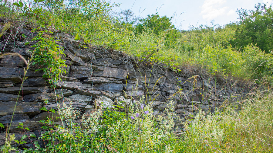 Trockenmauer aus Schiefer in der Dörscheider Heide