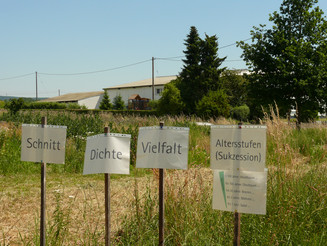 Schilder mit den Prinzipien des Dynamischen Agroforst auf Acker
