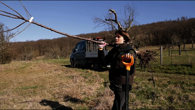 Click to start video.