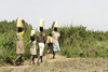 Frauen tragen Kanister auf dem Kopf entlang eines Ackers