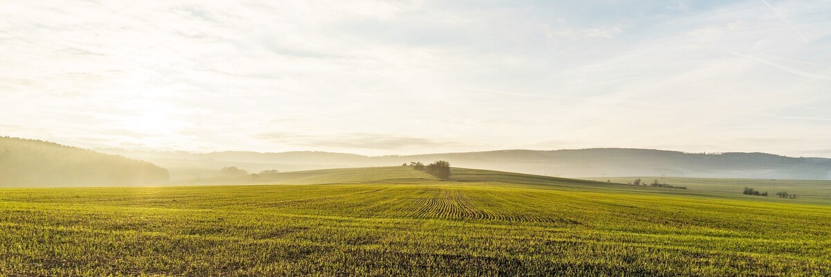Ackerfläche bis zum Horizont
