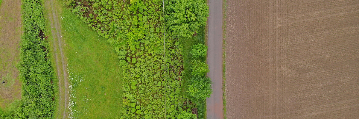 Feld, Straße und Natur aus der Vogelperspektive