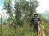 Bolivianischer Landwirt steht auf seiner landwirtschaftlichen Anbaufläche