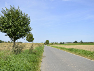 Feldweg entlang von Ackerflächen in der hessischen Gemeinde Pfungstadt