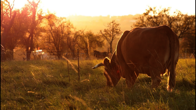 Hier klicken um Video zu starten.