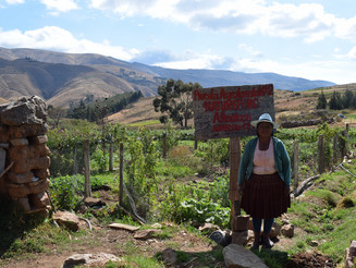 Bäuerin steht vor einer landwirtschaftlichen Parzelle, welches mittels der Anbaumethode Dynamischer Agroforst bepflanzt wird