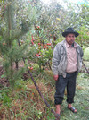 Kleinbauer steht vor Apfelbäumen in seiner Parzelle