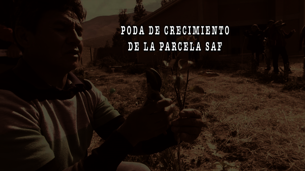 Click to start video.