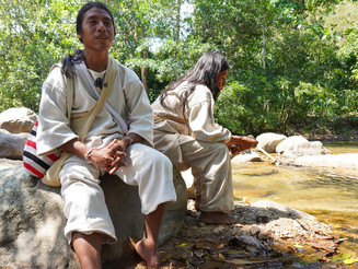 Zwei Kogi sitzen auf einem Stein am Fluss