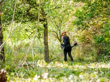 Eine Person arbeitet mit einem Freischneider auf einer Streuobstwiese