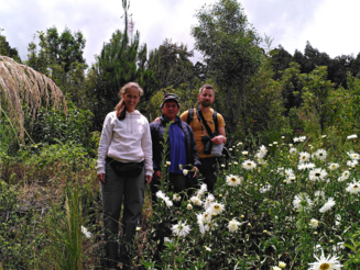 Drei Personen stehen auf Dynamischer Agroforstparzelle in Bolivien
