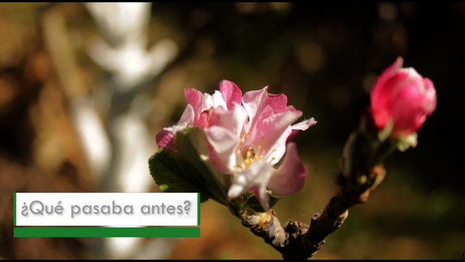 Hier klicken um Video zu starten.