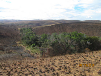 Reste eines letzten Stückes Regenwaldes umgeben von abgerodeter Fläche auf Madagaskar