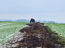 Pflanzung einer artenreichen Dynamischen Agroforst-Reihe auf einer Ackerfläche
