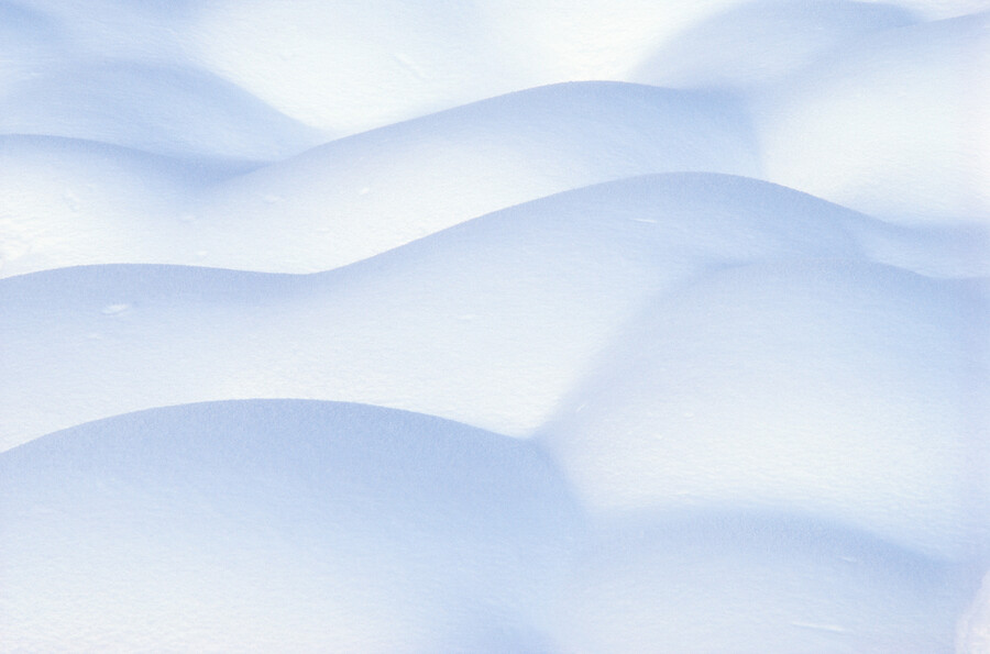 Nur noch Schnee auf Bildern? Foto: Naturefund