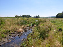Niedermorr im Sonnenlicht