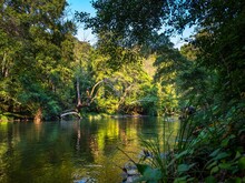 Fluss fließt durch Regenwald