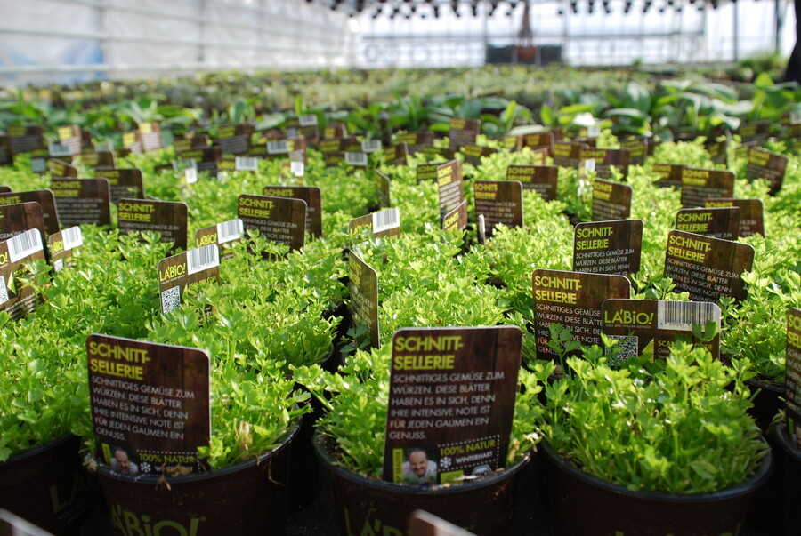 Kräuter von LA'BiO!