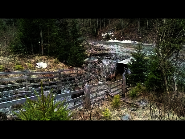 Hier klicken um Video zu starten.