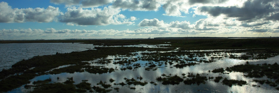 Verzweigtes Prielsystem der Insel Kirr in der Ostsee