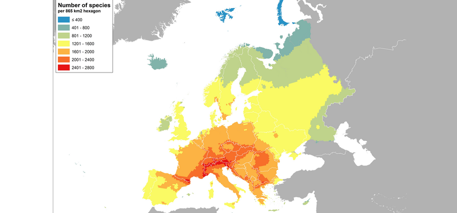 Europäische Karte mit räumlicher Verteilung des Artenreichtums