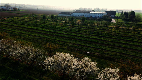 Hier klicken um Video zu starten.