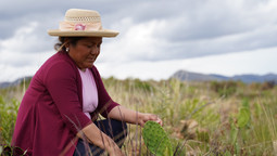 Eine Kleinbäuerin zeigt Kaktusfeigenblätter auf ihrer Trockenparzelle in Bolivien.
