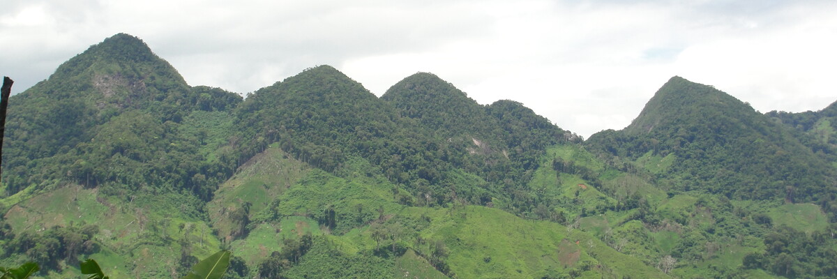 Mit Regenwald grün bewachsene Berge erstrecken sich in den Himmel