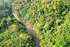 Tropischer Regenwald mit Fluss in Honduras aus der Vogelperspektive