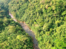 Tropischer Regenwald mit Fluss in Honduras aus der Vogelperspektive