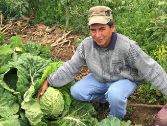 Bauer sitzt auf Acker in Bolivien