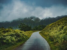 Geteerte Straße führt durch Regenwald