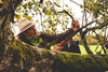 Baumschnitt durch Naturefund Mitarbeiter