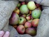 Äpfel liegen in einem Sack