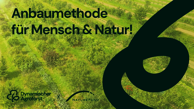 Hier klicken um Video zu starten.