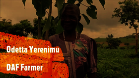 Landwirtin Odetta Yerenimu über das Aufforstungsprojekt von Naturefund in Malawi