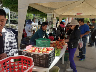 Äpfel werden auf bolivianischem Bauernmarkt verkauft