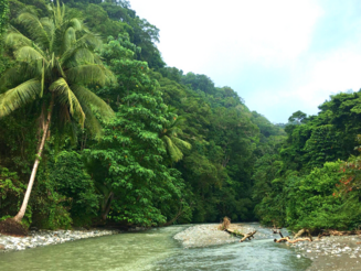 Fluss fließt durch dichten Regenwald in Costa Rica