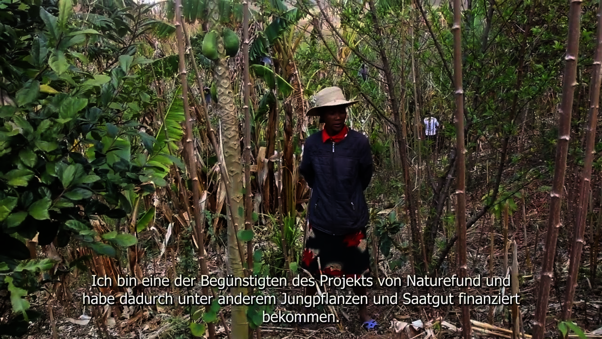 Bäuerin auf Madagaskar berichtet von ihren Erfahrung mit der Anbaumethode Dynamischer Agroforst