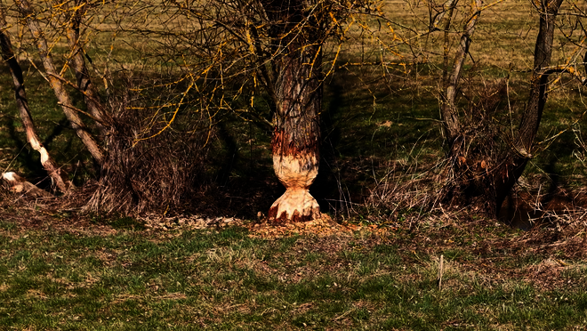 Click to start video.