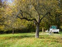 Transporter der Naturschutzorganisation Naturefund steht auf einer Streuobstwiese