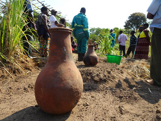Eine landwirtschaftliche Parzelle in Malawi